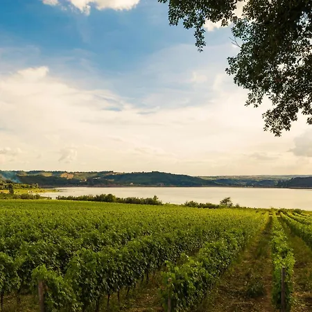 Lovely In With Swimming Pool